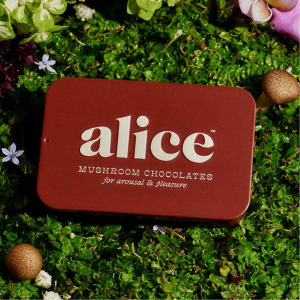 alice mushrooms