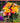 Giving Thanks Flower Bouquet