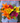 Falling in Love Flower Bouquet