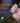 Fenix E20 V2.0 EDC Flashlight - 350 Lumens