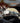 Fenix HP35R Search and Rescue Headlamp