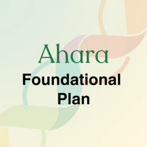 The Foundational Plan