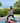 Horatio Yoga Mat – Premium Grip, Cushioned Support, and Classic Style for Every Practice