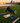 Nelson Yoga Mat – 6 mm Extra Thick, Non-Slip Eco-Friendly PER with Striped UV-Printed Design | Yune Yoga