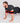 Sling Shot® Push Up