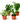 Pet Friendly Plant Bundle