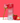 strawberry rose (botanical soda | 12 pack)