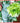 Happy Happy Flower Bouquet with Vase