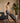 WalkingPad R3 Hybrid Foldable Treadmill
