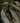 Realtree x Yune Yoga Timber Camo Yoga Mat – Eco-Friendly, Non-Slip 6mm PER Mat for All Levels