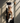 Cow Print Yoga Mat – Sustainable, Toxin-Free & Stylish | Yune Yoga