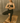 Sandstone Savasana — ER68 6mm Yoga Mat