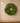 Classic Evergreen Wreath