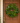 Classic Evergreen Wreath