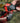 Fenix HP12R-T Balanced Trail Headlamp