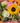 Autumn Sun Flower Bouquet