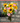Autumn Sun Flower Bouquet