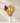 Neutral Palm Dried Flower Bouquet