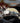 Fenix HP35R Search and Rescue Headlamp