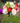 Pretty and Festive Flower Bouquet