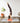 Bowie Lightweight Yoga Mat – 6mm Non-Slip, Eco-Friendly & Travel-Ready | Yune Yoga