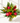 Rainbow Rainforest Tropical Flower Bouquet