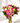 The 365 Flower Bouquet With Vase