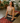 Snake Design Non-Slip PER Eco-Friendly Yoga Mat – Yune Yoga