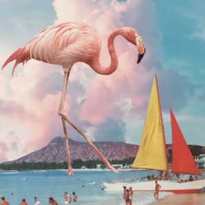 Flamingo Playground, Karen Lynch